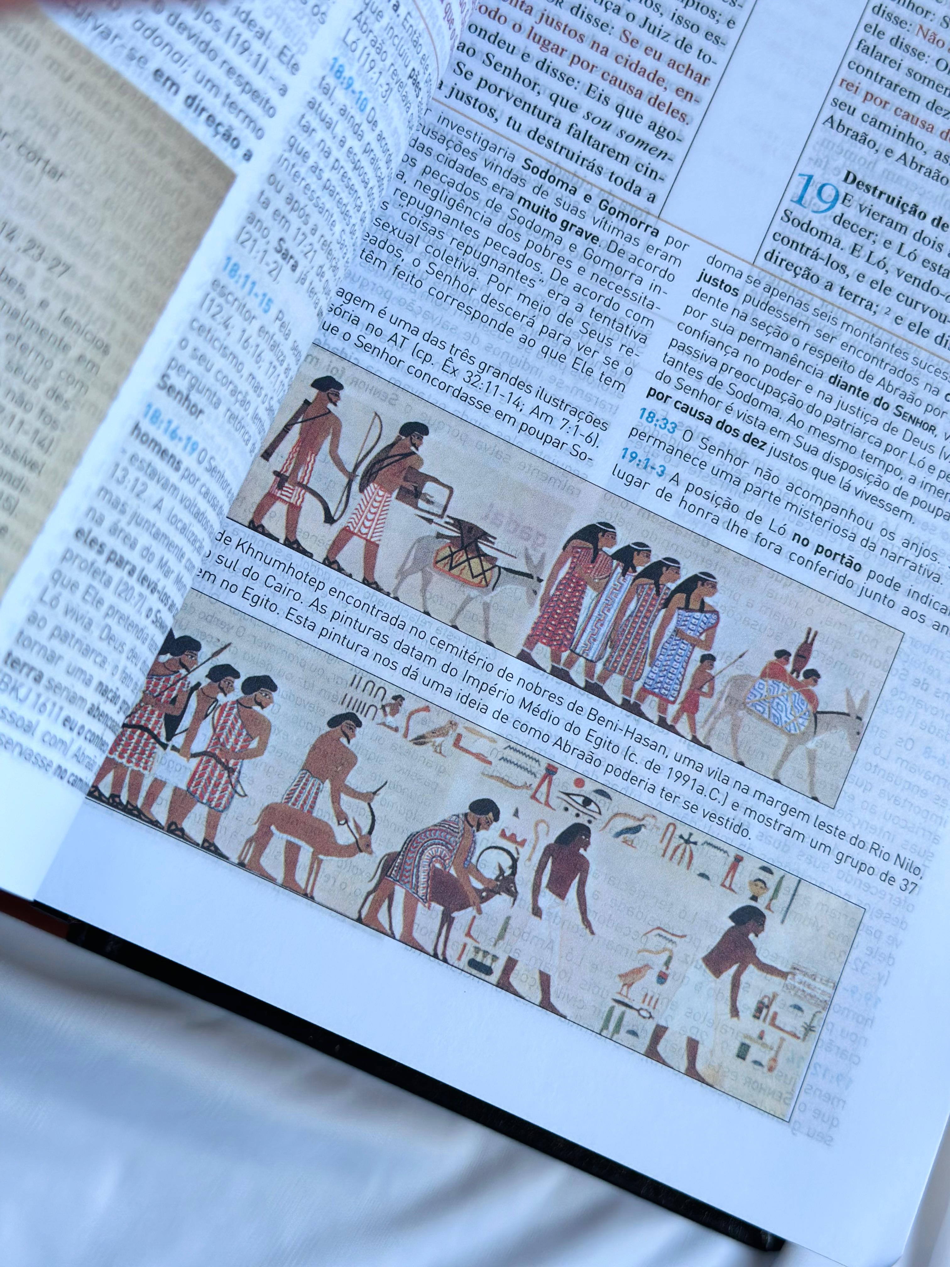Bíblia King James 1611 Com Estudo Holman BKJ Preta e Marrom