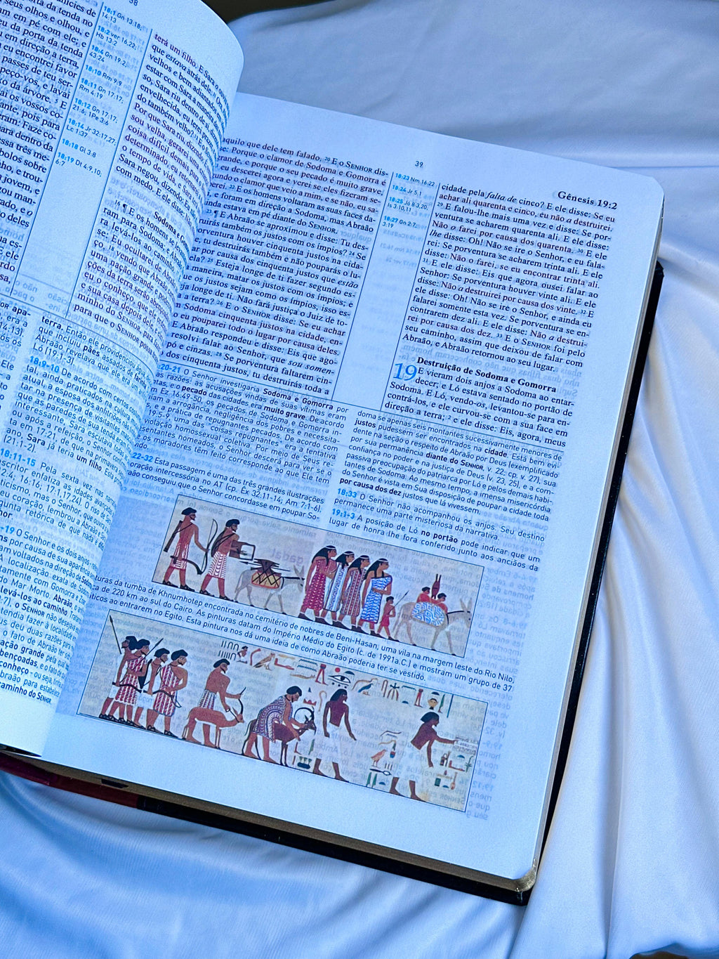 Bíblia King James 1611 Com Estudo Holman BKJ Preta e Marrom