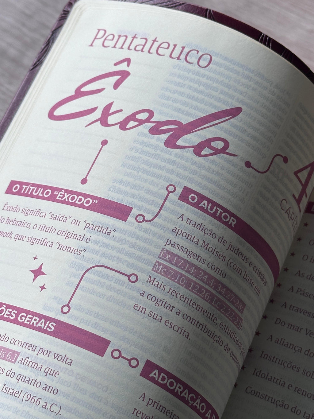 Bíblia Mulheres Folhas | Viviane Martinello | NVT | Espaço Para Anotações | Capa Luxo