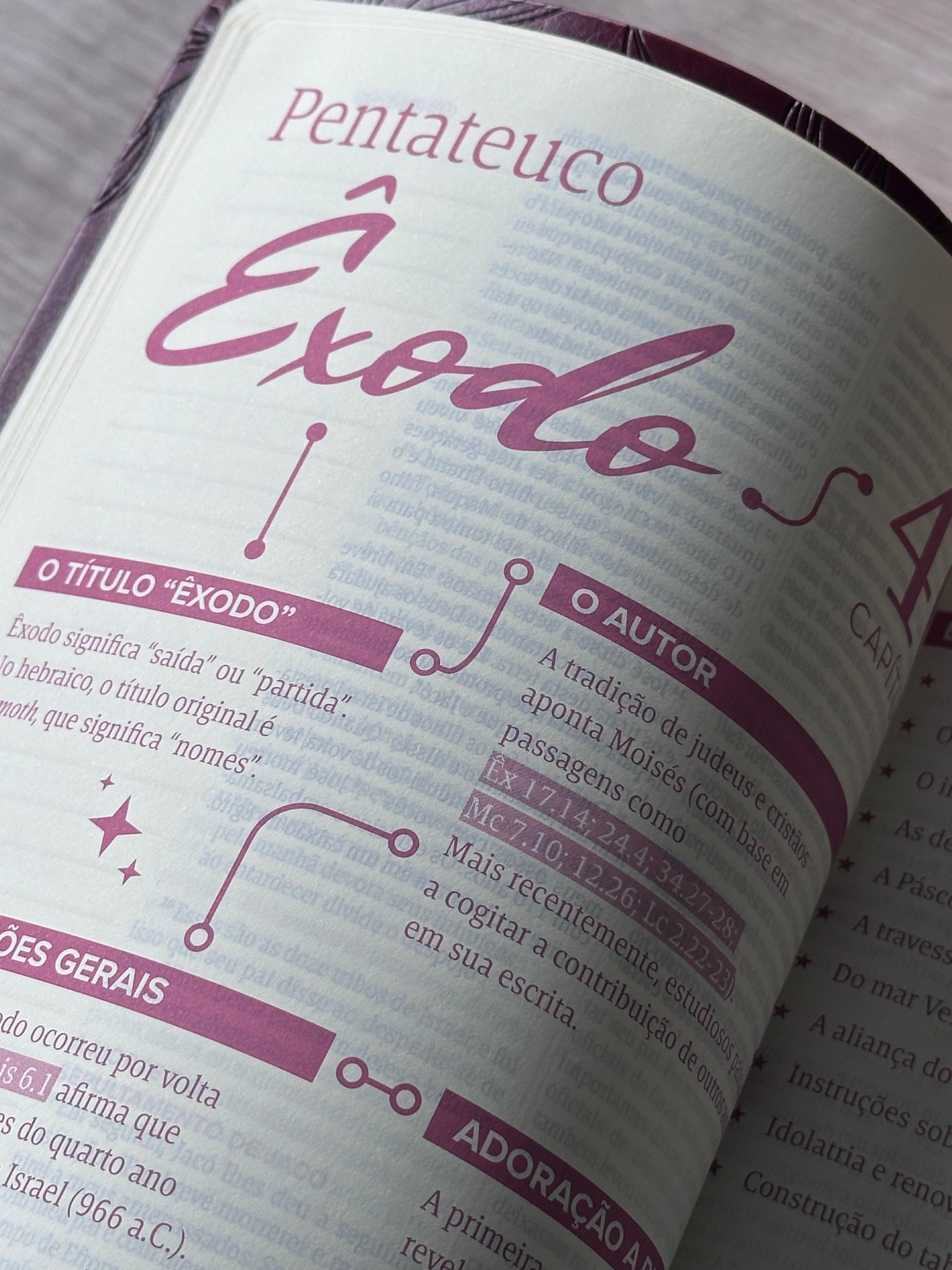 Bíblia Mulheres Folhas | Viviane Martinello | NVT | Espaço Para Anotações | Capa Luxo