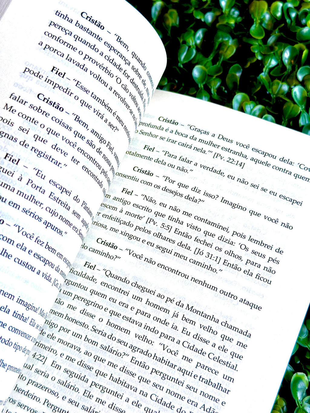O Peregrino | Clássicos da Literatura | John Bunyan