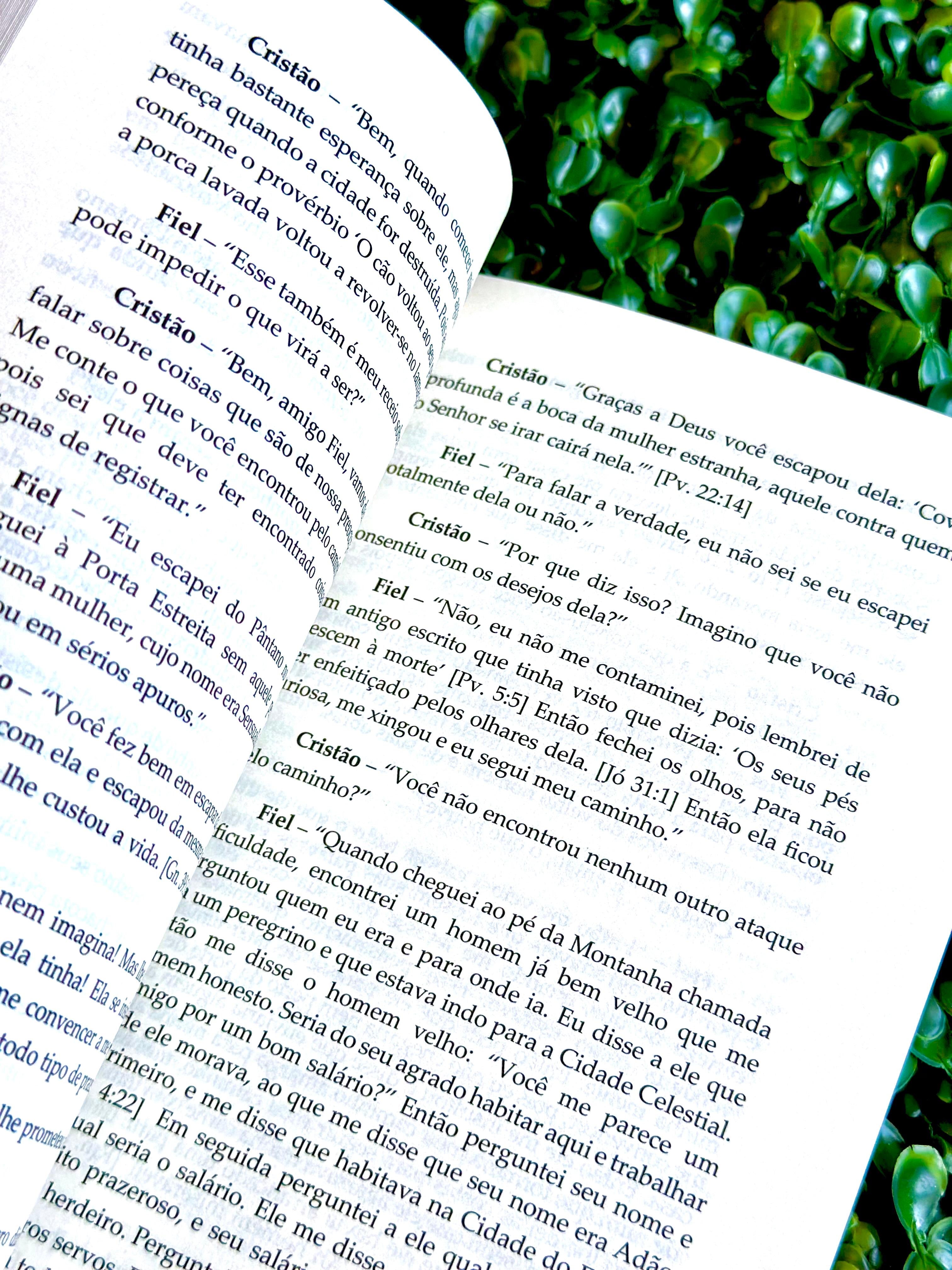 O Peregrino | Clássicos da Literatura | John Bunyan
