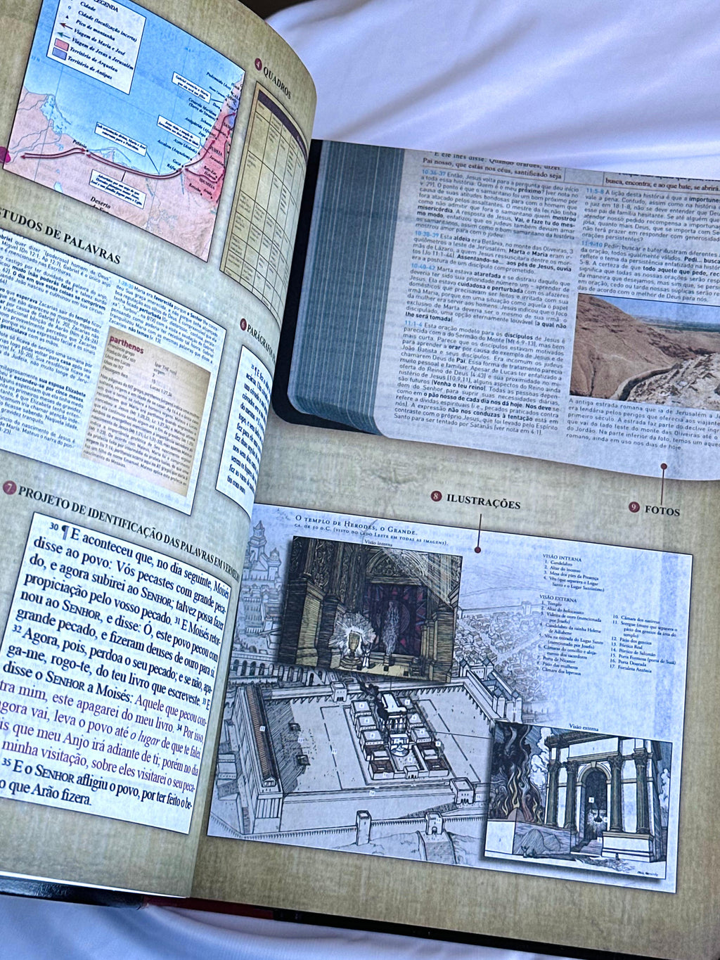 Bíblia King James 1611 Com Estudo Holman BKJ Preta e Marrom
