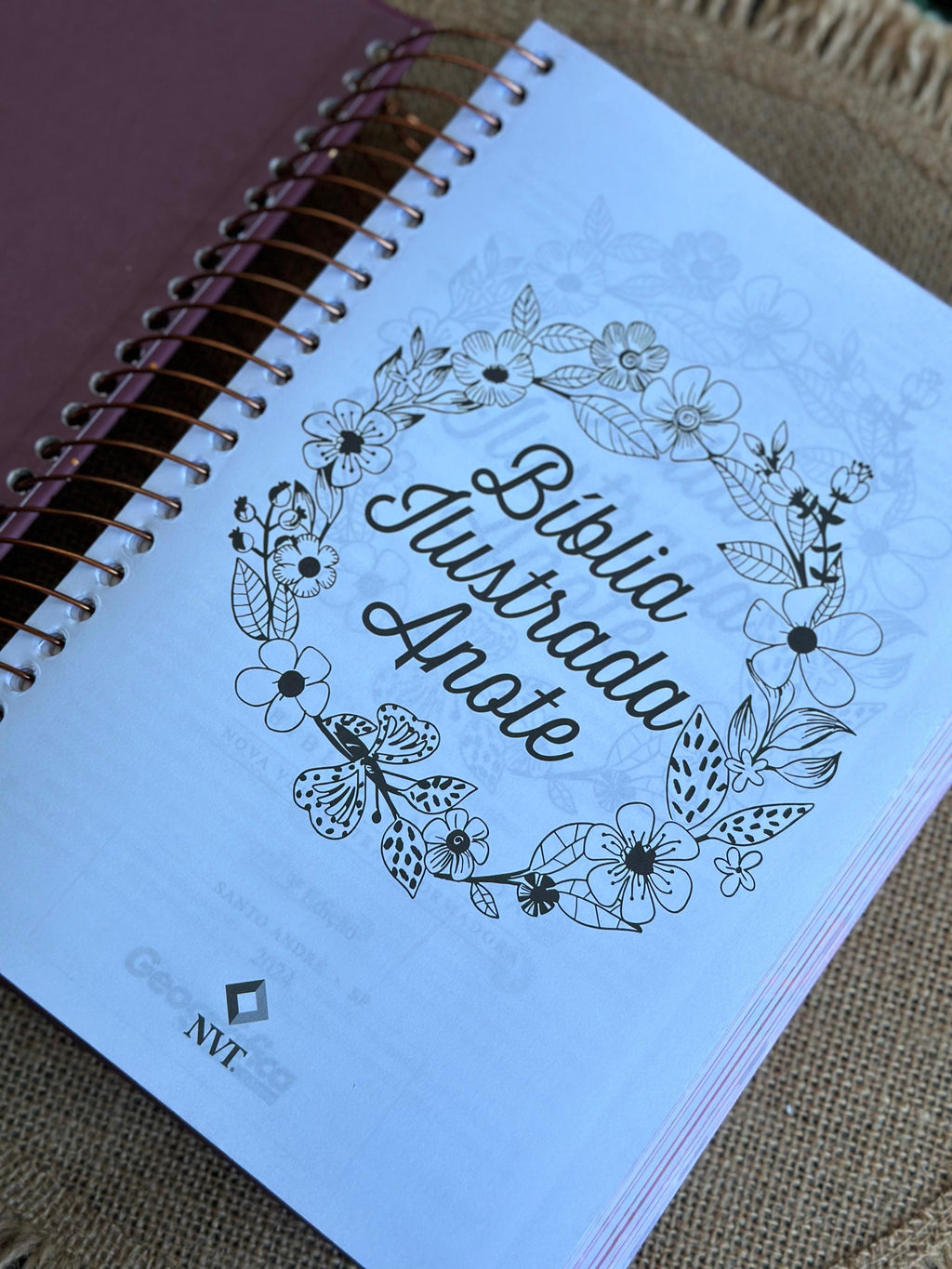 Bíblia Ilustrada Anote Rosa Brilhante