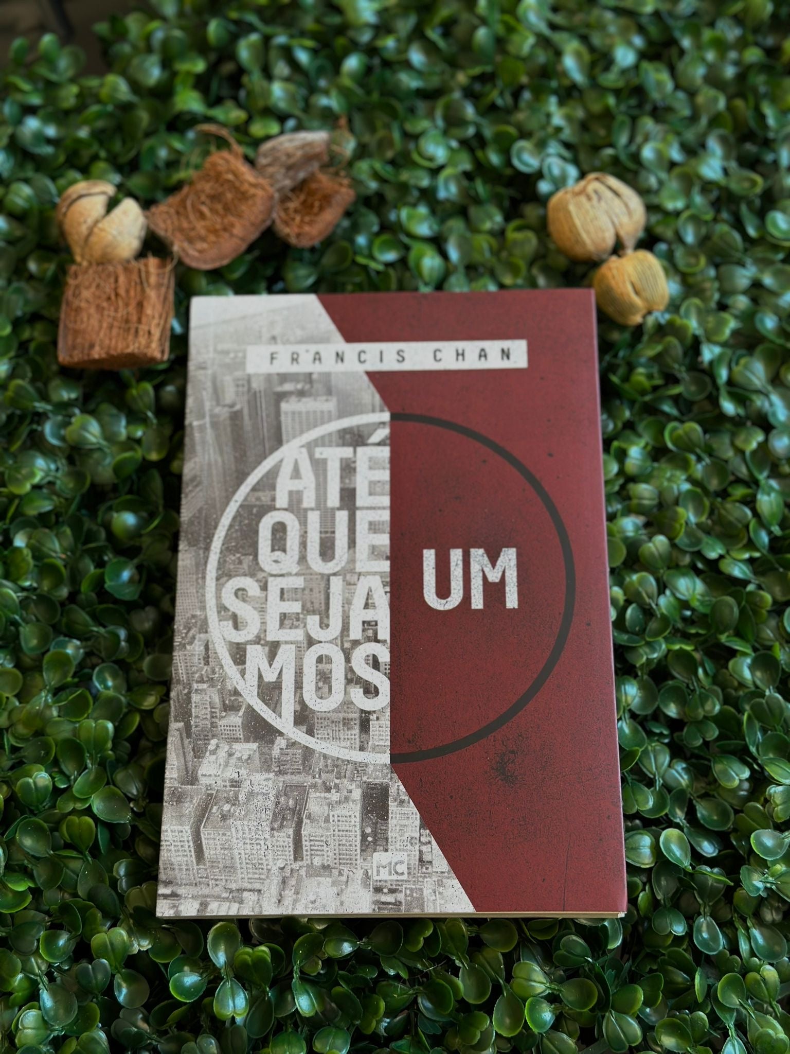 Até que sejamos um | Francis Chan