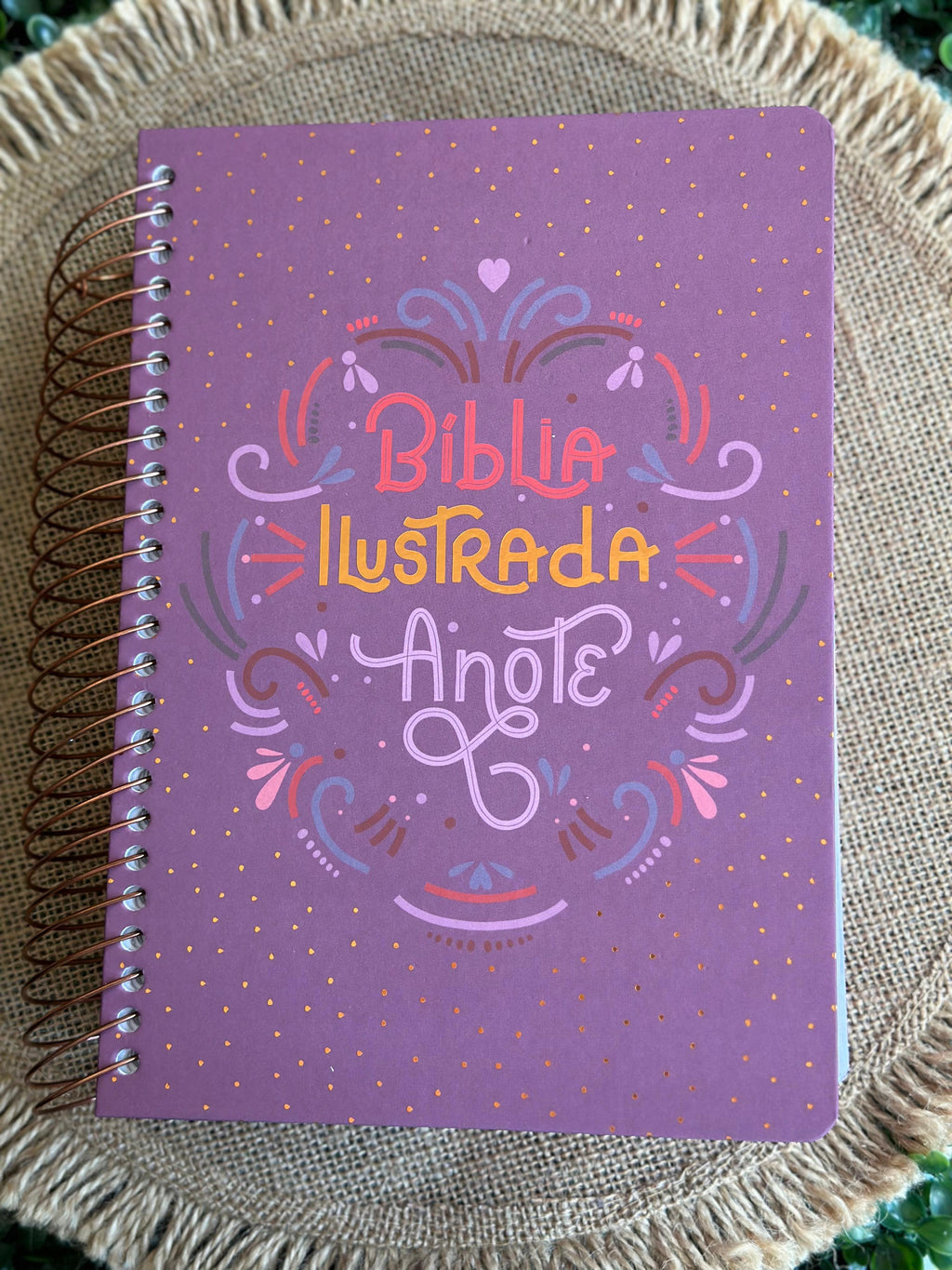 Bíblia Ilustrada Anote Rosa Brilhante