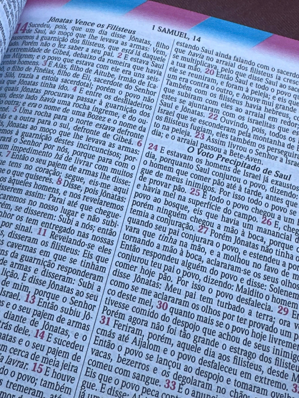 Bíblia Pequenos Discípulos | ARC | Letra Grande | Capa Dura Azul | Edição Ampliada
