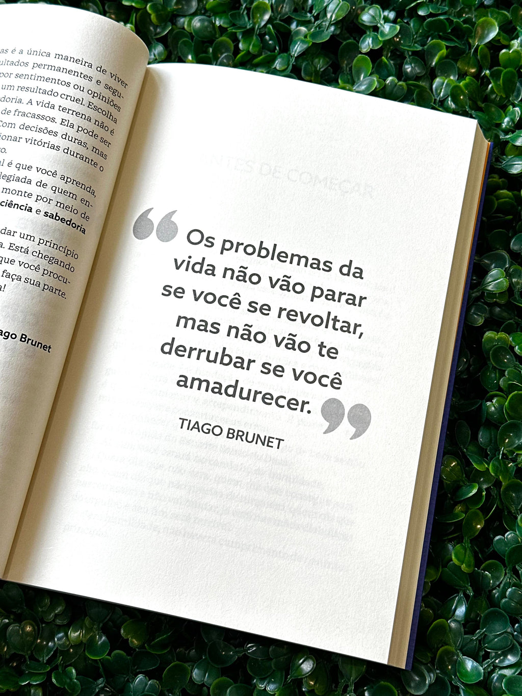 Princípios Milenares | Tiago Brunet
