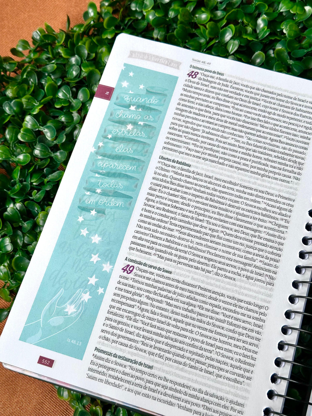 Bíblia Ilustrada Anote Flores para Você | NVT | Letra Normal | Capa Dura Espiral