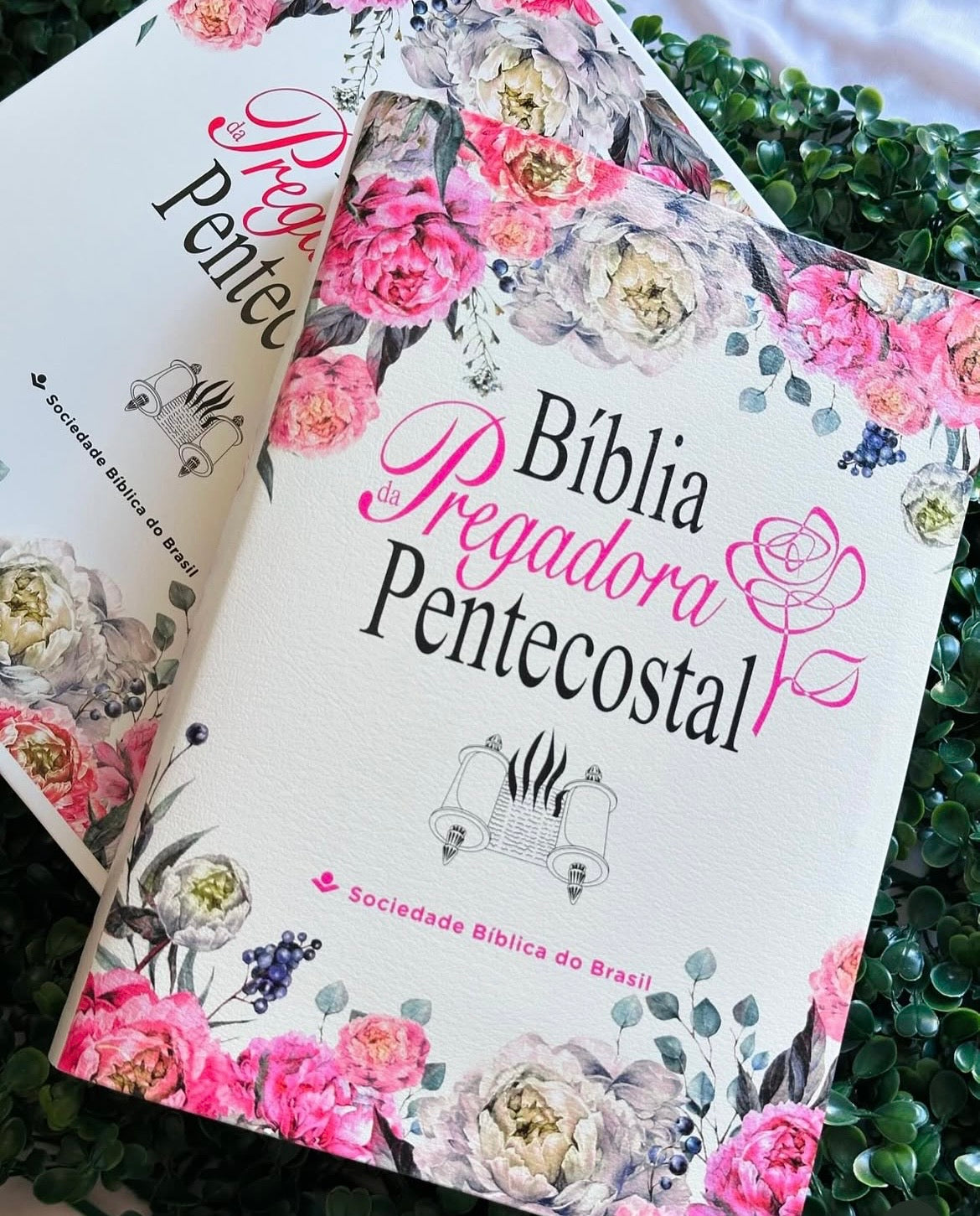 Bíblia Grande da Pregadora Pentecostal