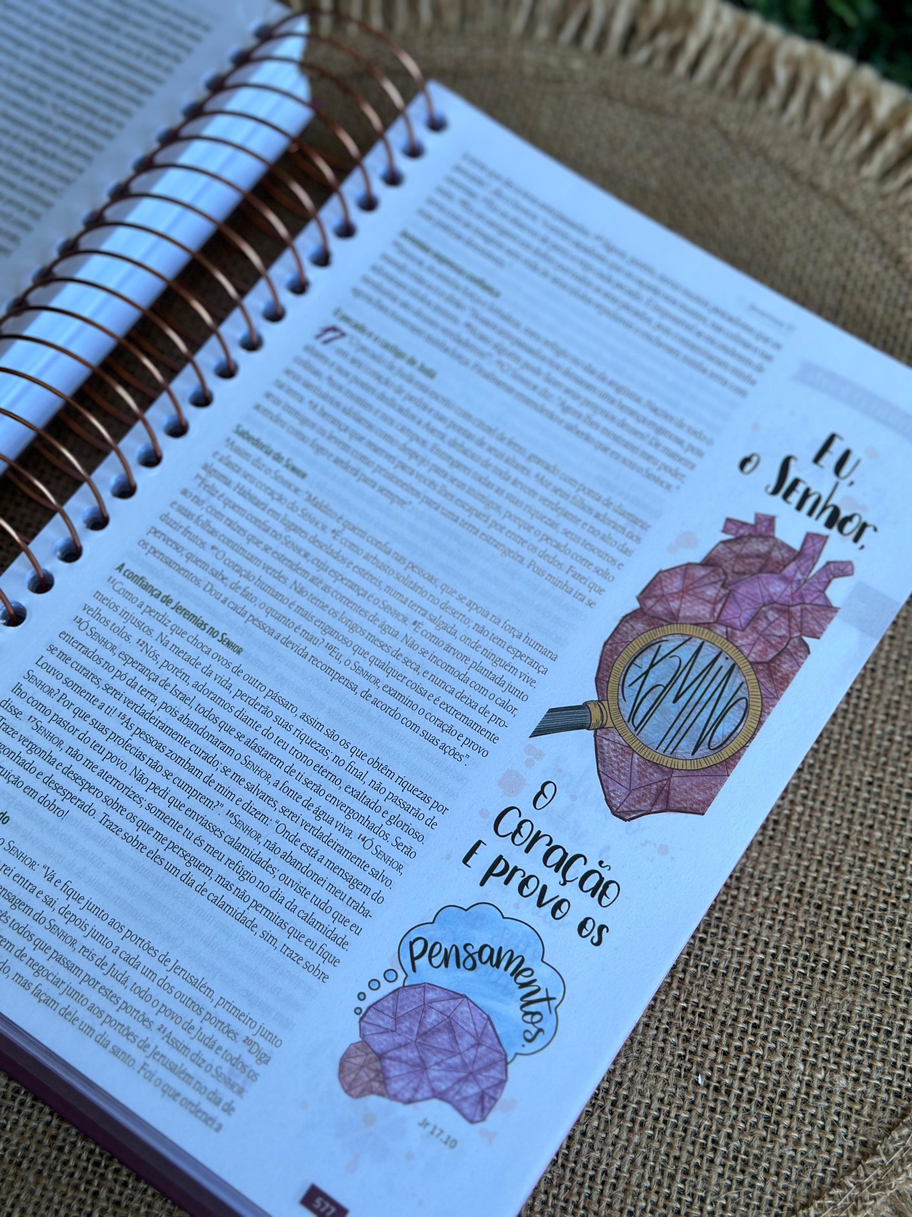 Bíblia Ilustrada Anote Rosa Brilhante