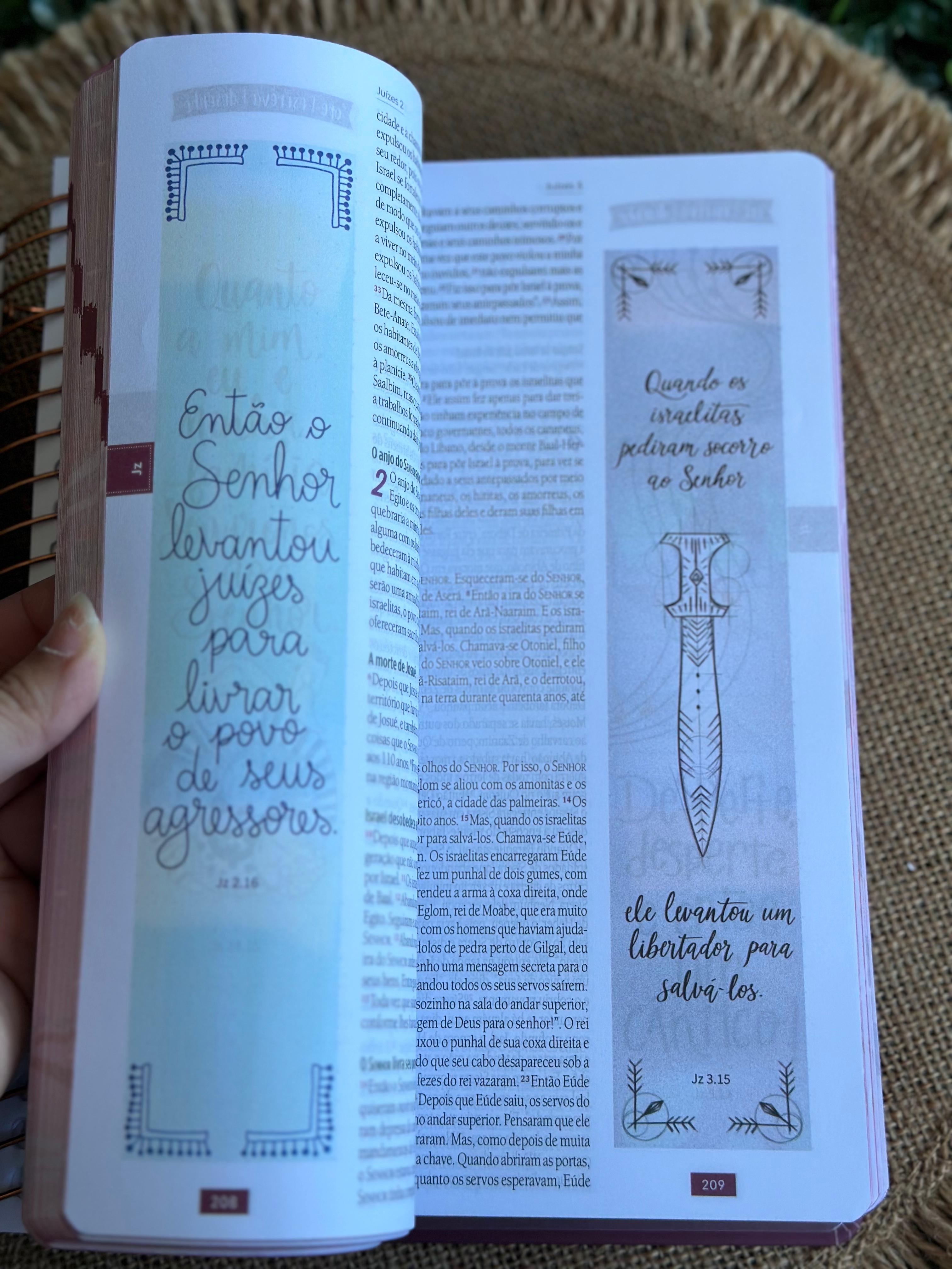 Bíblia Ilustrada Anote Rosa Brilhante
