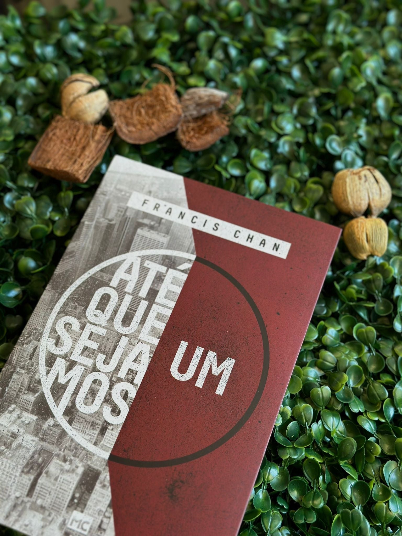 Até que sejamos um | Francis Chan