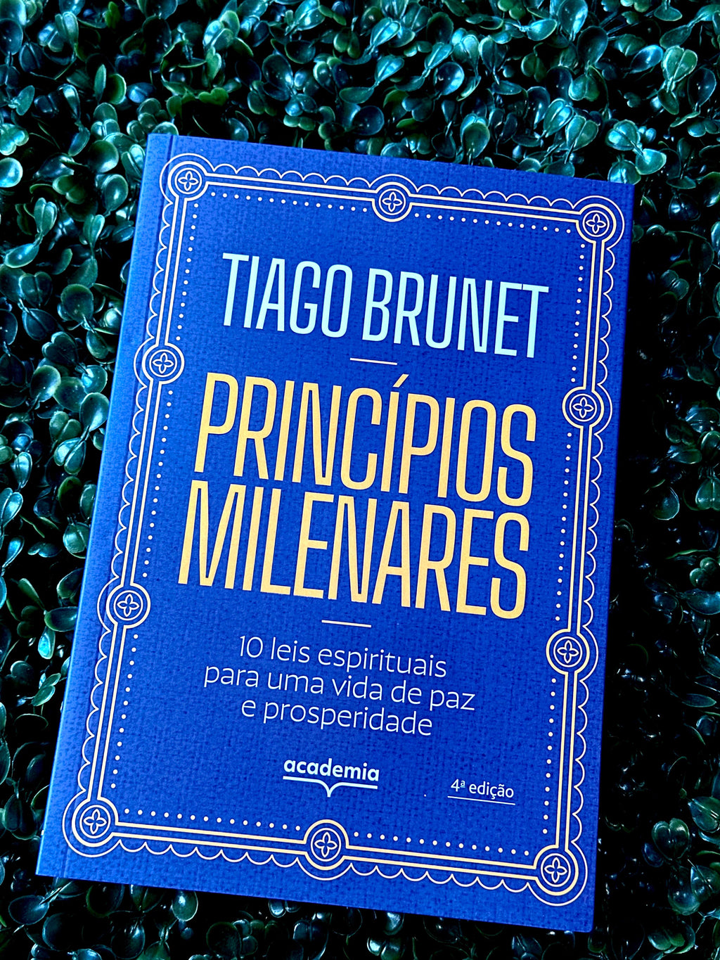 Princípios Milenares | Tiago Brunet