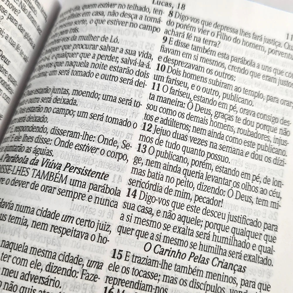 Bíblia Pequenos Discípulos | ARC | Letra grande | Capa Dura Feminina